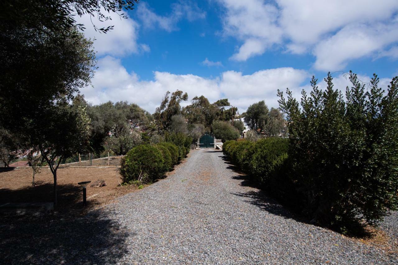 Hacienda Del Batan